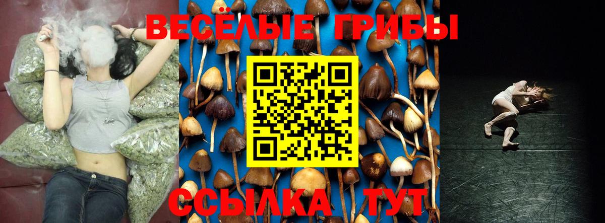 Галлюциногенные грибы мухоморы Мичуринск